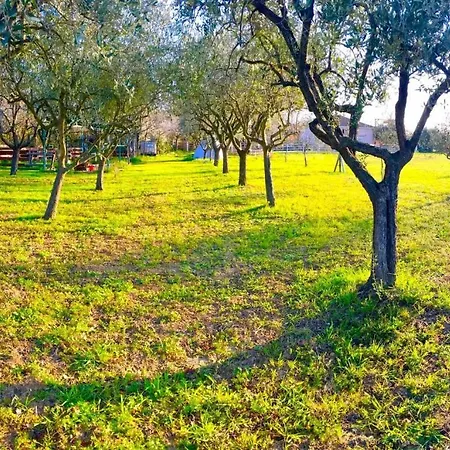 O.k. Corral Campsite Misano Adriatico