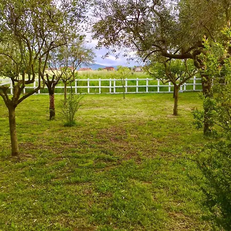 O.k. Corral Campsite Misano Adriatico
