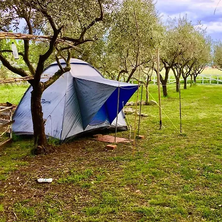 Campsite O.k. Corral