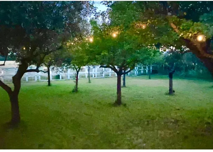 O.k. Corral Kemping Misano Adriatico