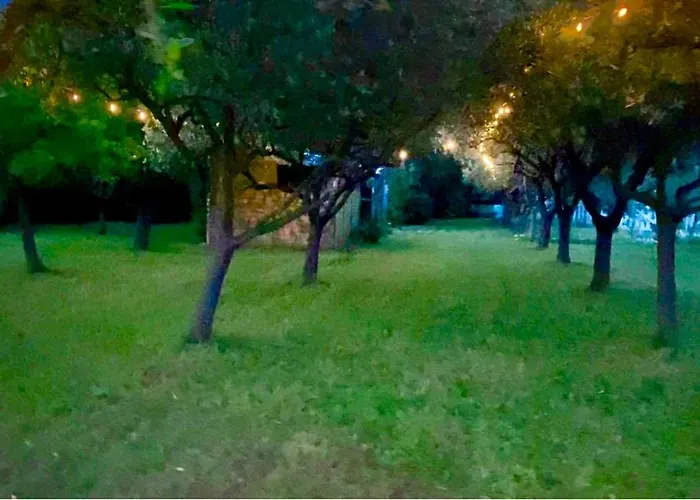 O.k. Corral Misano Adriatico