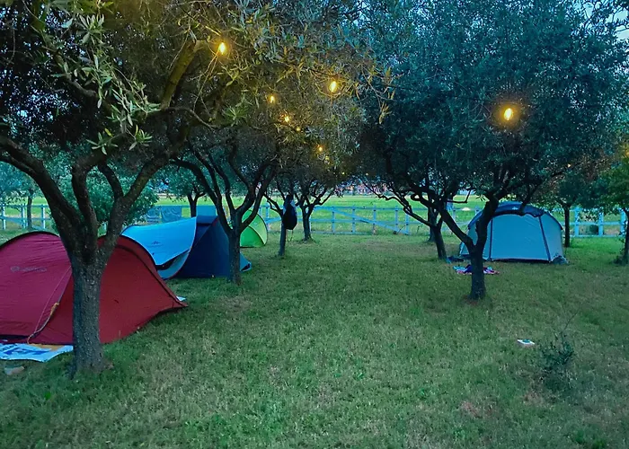 O.k. Corral Misano Adriatico